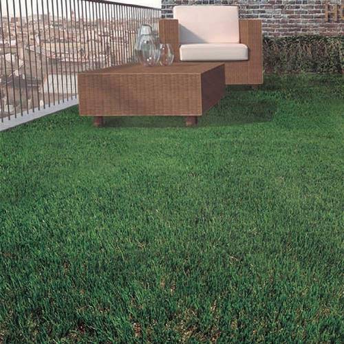 CESPED ARTIF NORTENE ZURICH EVOLUT 30MM 1,0X4M