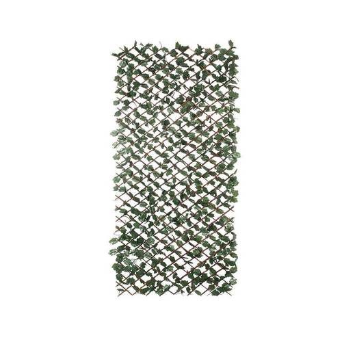 CELOSIA NORTENE WICKGREEN 1,0X3M 2014959