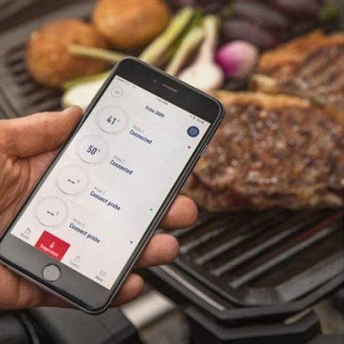 BARBACOA ELEC WEBER PULSE 1000 81010053
