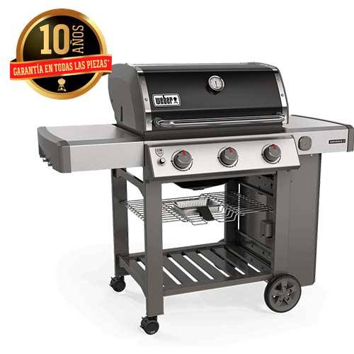 BARBACOA GAS WEBER GENESIS II E310 GBS 61011149