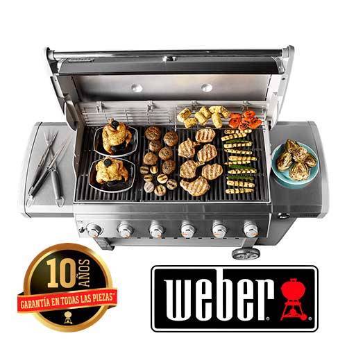 BARBACOA GAS WEBER GENESIS II E310 GBS 61011149