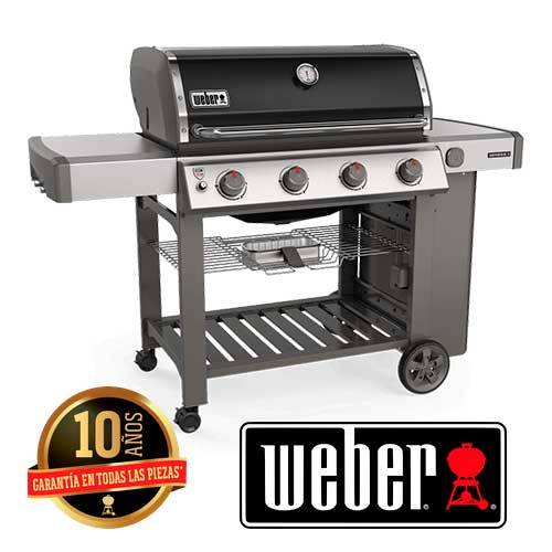 BARBACOA GAS WEBER GENESIS II E410 62011149