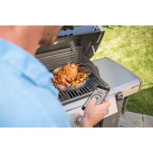 BARBACOA GAS WEBER GENESIS II E410 62011149
