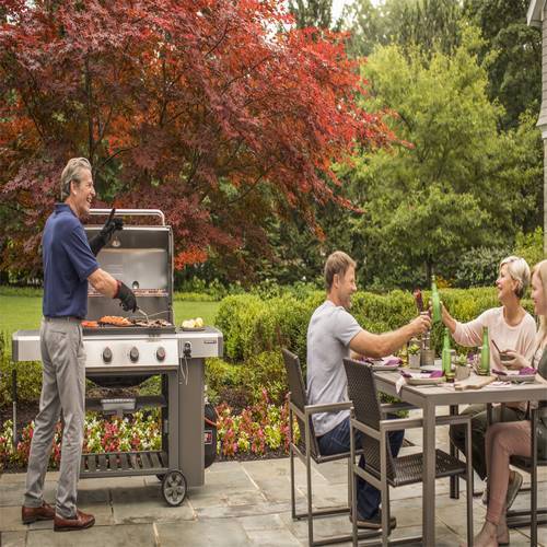 BARBACOA GAS WEBER GENESIS II E410 62011149