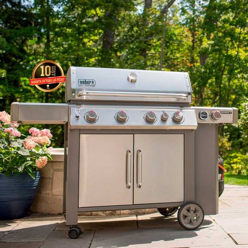 BARBACOA GAS WEBER GENESIS II SP-435 62006149