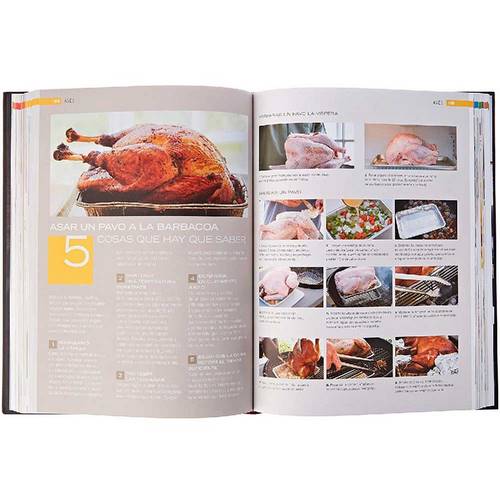 BIBLIA BARBACOA WEBER 311273