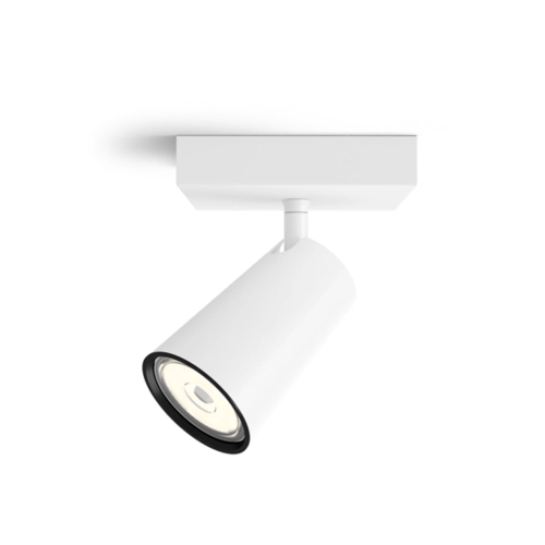 FOCO PHILIPS PAISLEY 1XNW BLANC 5057131PN