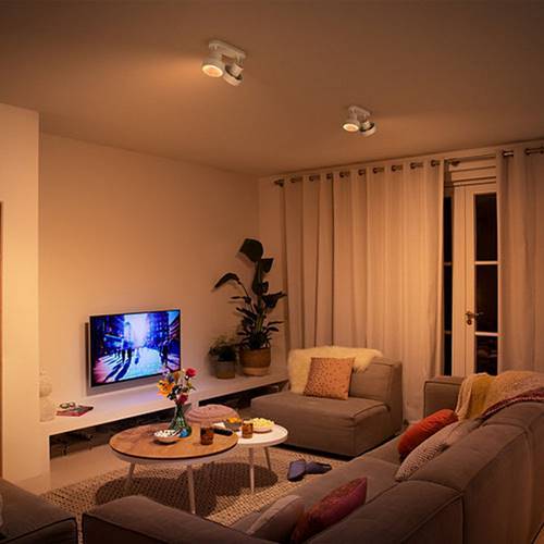 FOCO PHILIPS BUKKO 2X4,3W BLANCO 5060231P0
