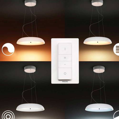 LAMPARA COLGANTE PHILIPS AMAZE HUE 1X33,5W