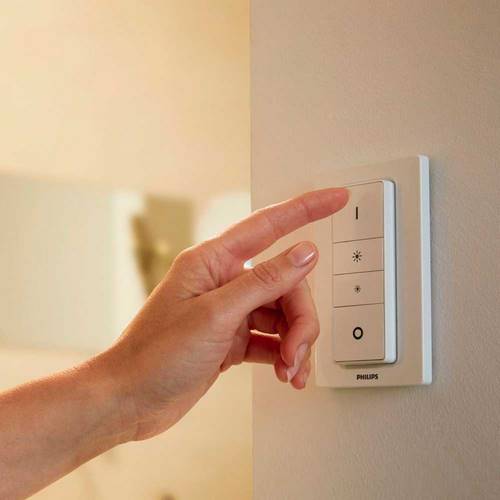 LAMPARA COLGANTE PHILIPS AMAZE HUE 1X33,5W