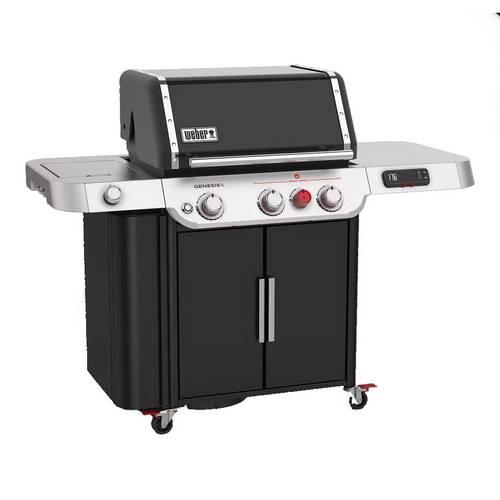 BARBACOA GAS WEBER GENESIS EX-335 35610049