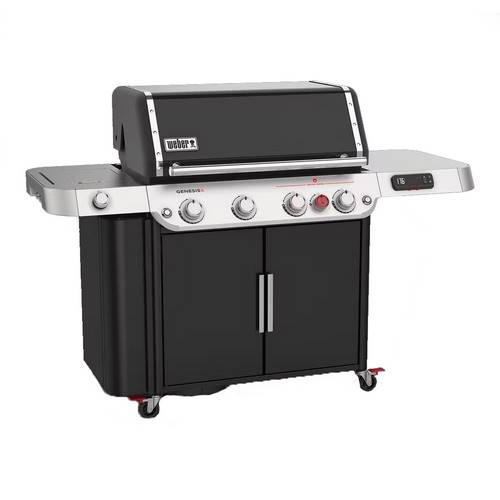 BARBACOA GAS WEBER GENESIS EPX-435 36810049