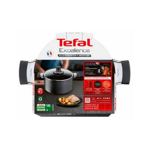 CACEROLA TEFAL EXCELLENCE C/TAPA 24CM G2694632