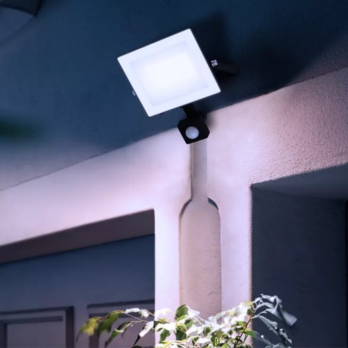 PROYECTOR PHILIPS LOIS FLOOD BL 30W 50K HV IR